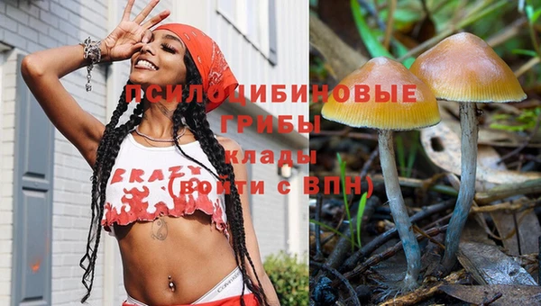 крисы Беломорск