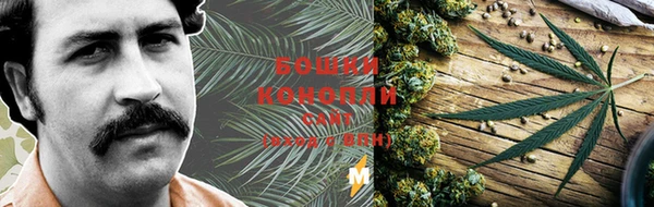 кокаин Белокуриха