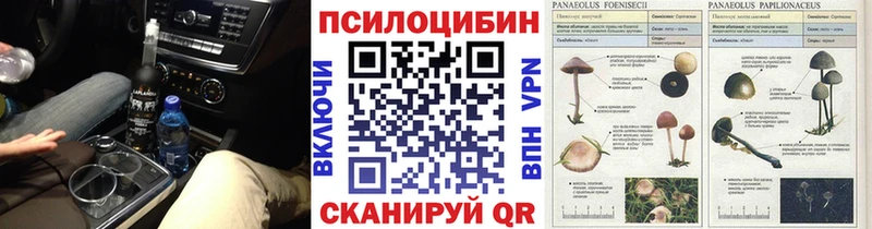Купить где Анапа Псилоцибиновые грибы мицелий